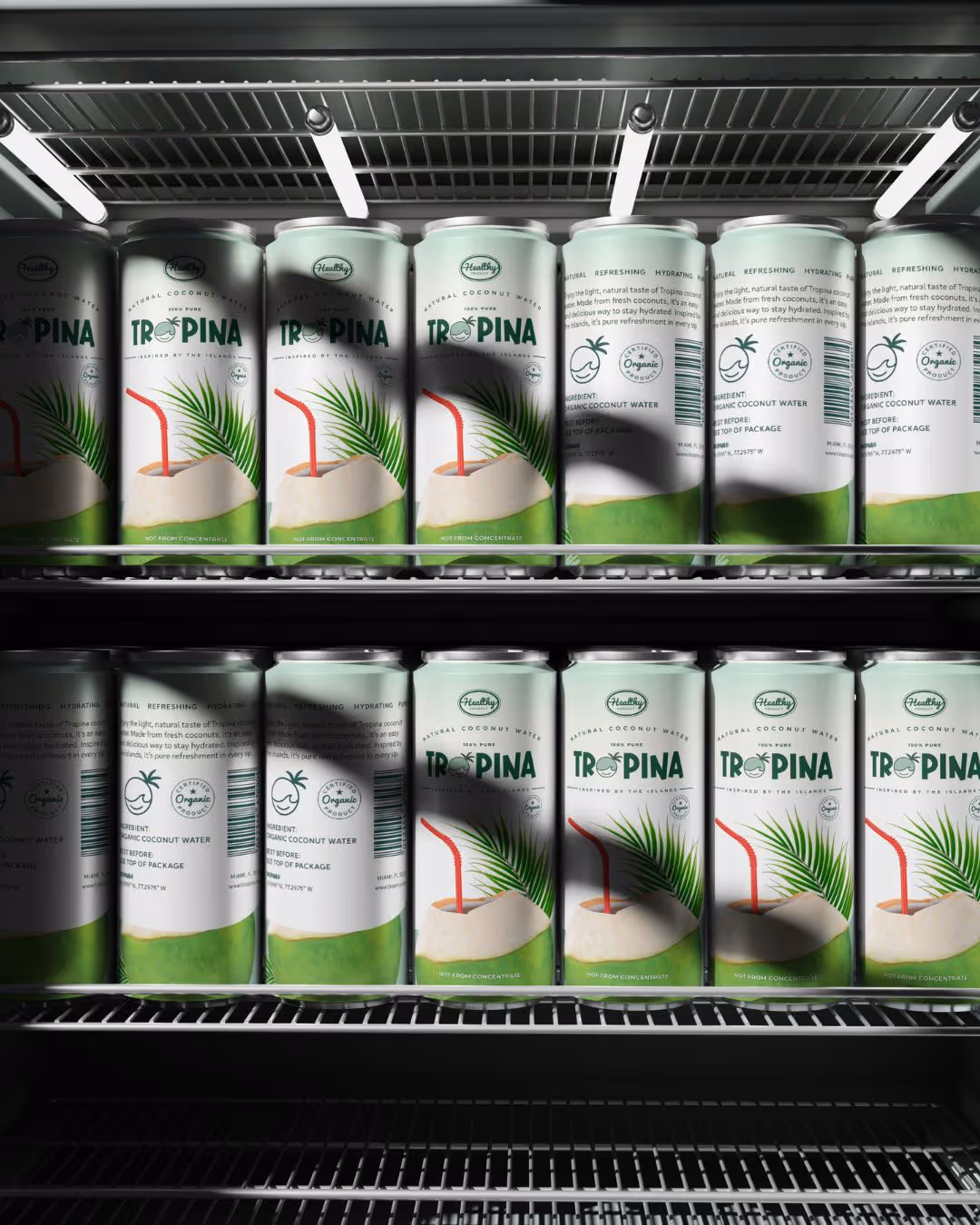 Brand Identity for Tropina | Visual Brand Identity Design