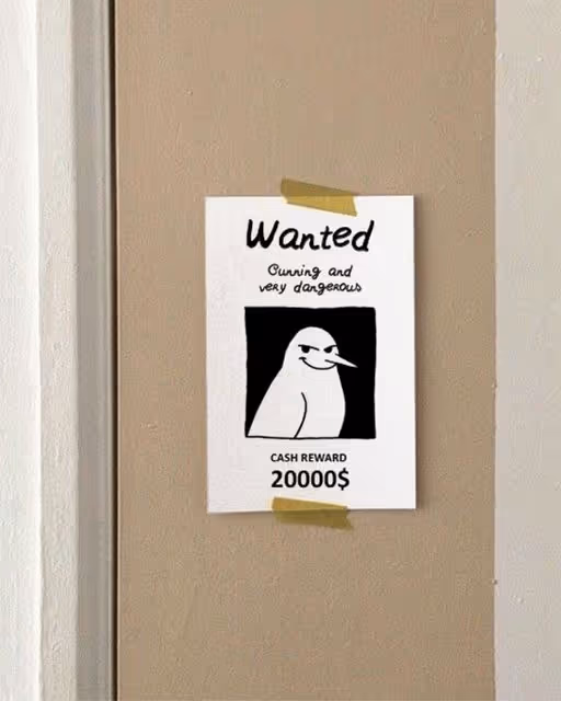 Snook-Bakery Branding-04