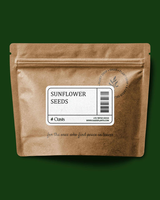 Oasis-Plant Branding-05