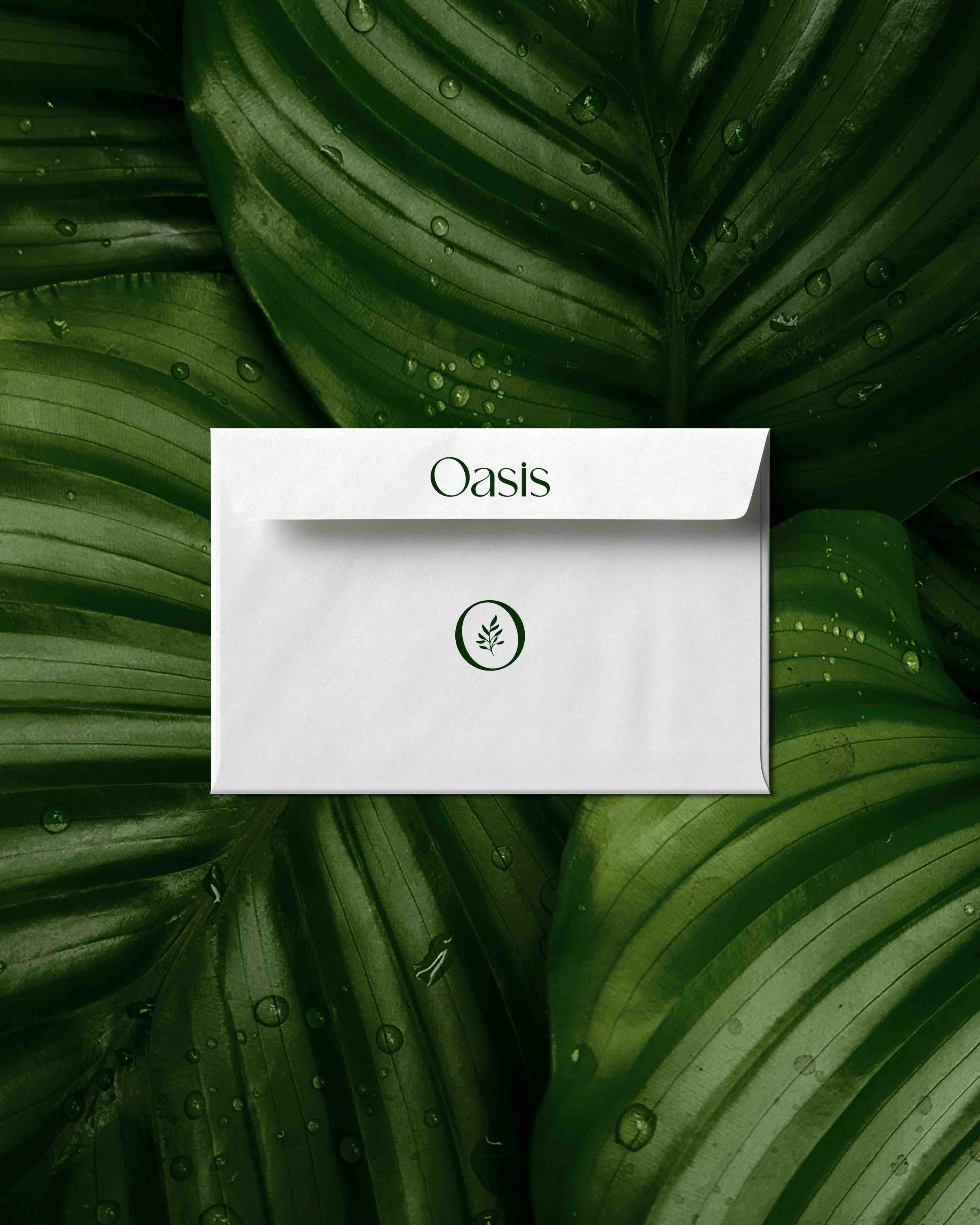 Brand Identity for Oasis