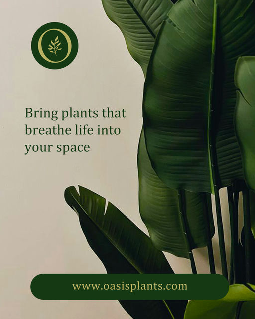 Oasis-Plant Branding-04