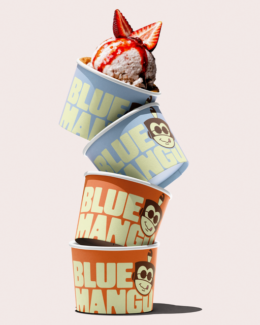 Blue Mango-Ice Cream Branding-02