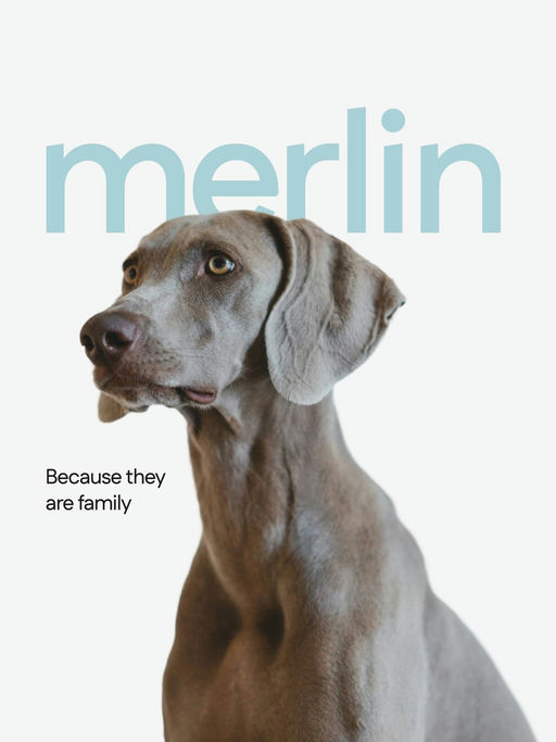 Merlin Dog Supplement-Supplement Branding-t01