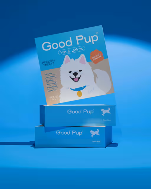 Good Pup-Dog Food Branding-01