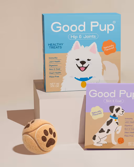 Good Pup-Dog Food Branding-03