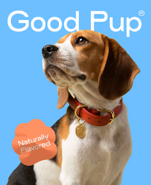 Good Pup-Dog Food Branding-05