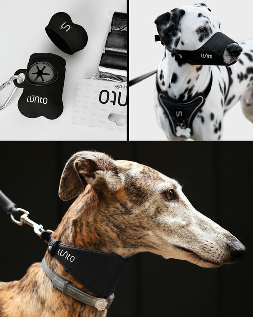 LUNTO-Pet Supplies Branding-04