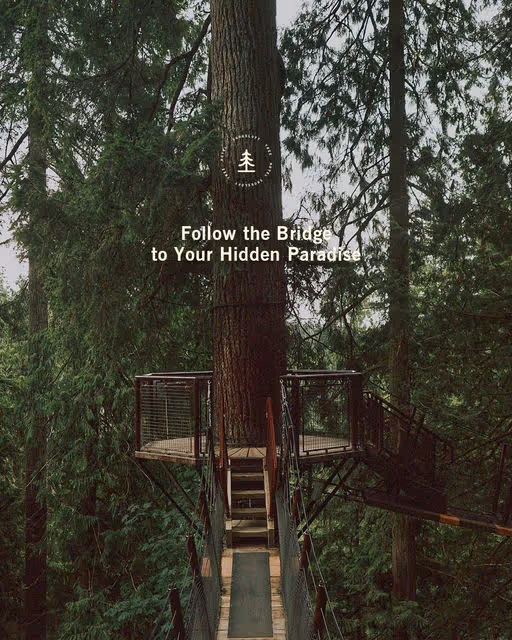 Skogsloft Tree Hotel-Hotel Branding-05