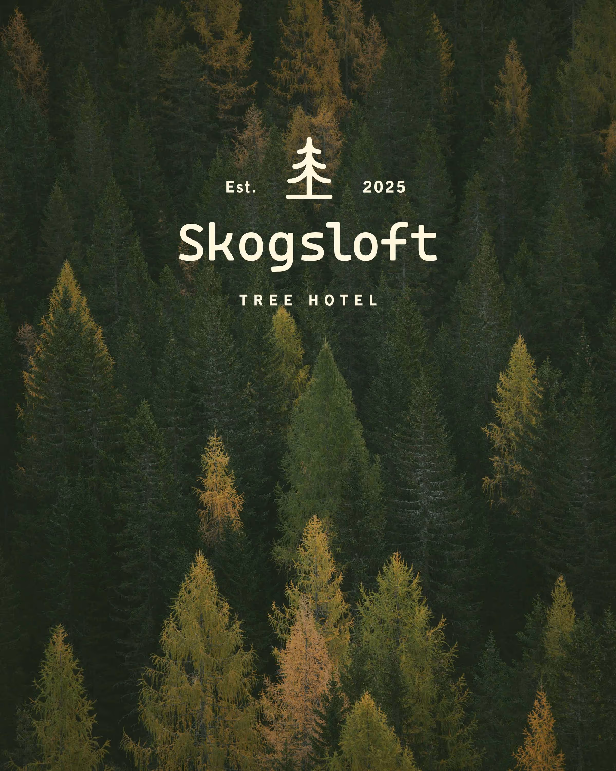 Brand Identity for Skogsloft Tree Hotel
