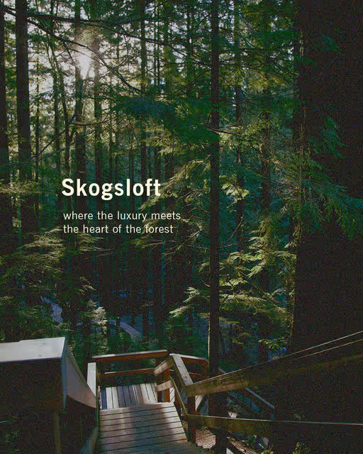 Skogsloft Tree Hotel-Hotel Branding-08