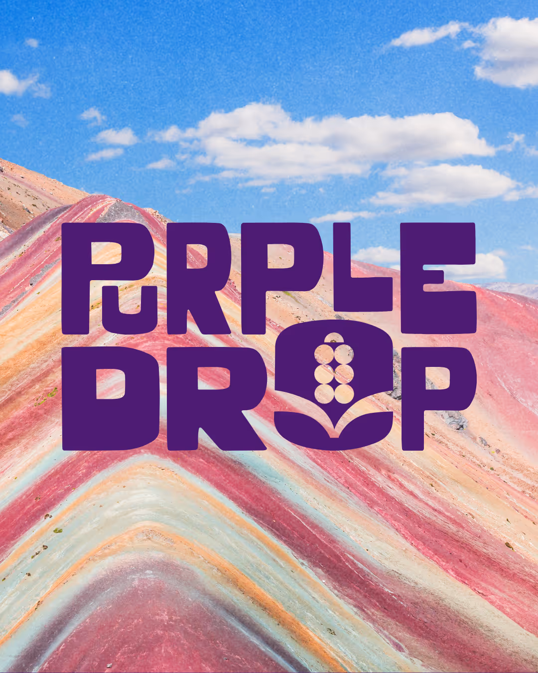 Brand Identity for The Purple Drop