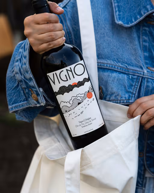 Vigno | French Wine-Wine Branding-t01
