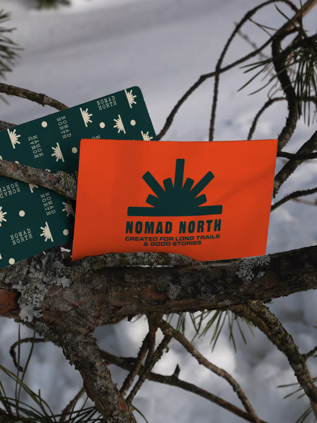 Brand Identity for NOMAD NORTH