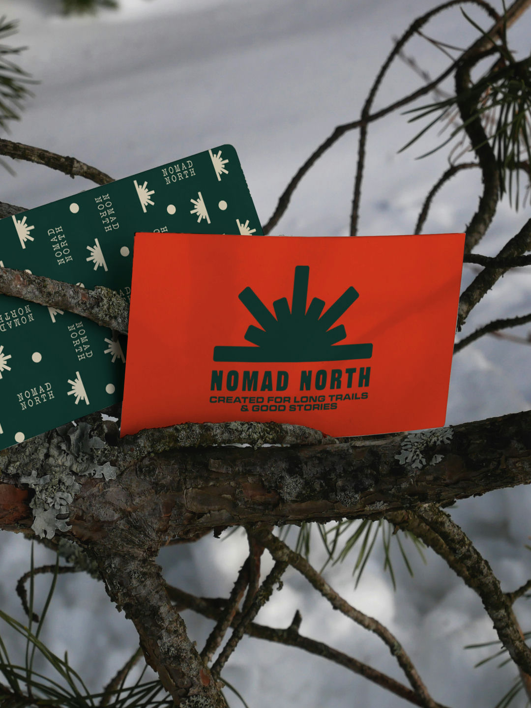 Brand Identity for NOMAD NORTH