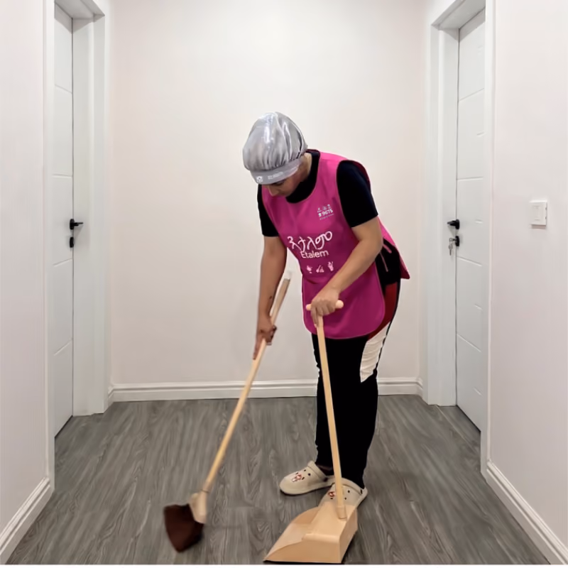 Etalem cleaner with mop and cleaning supplies