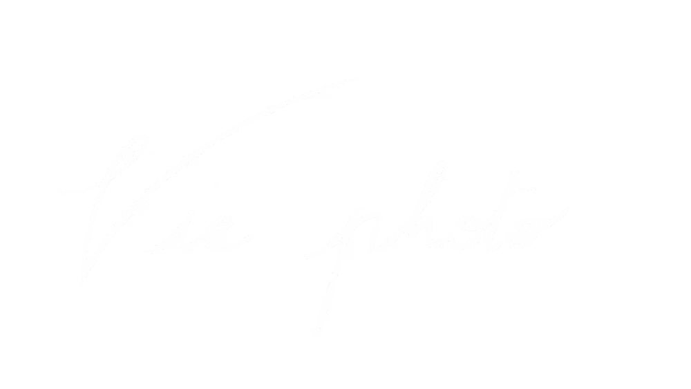 logo vie photo