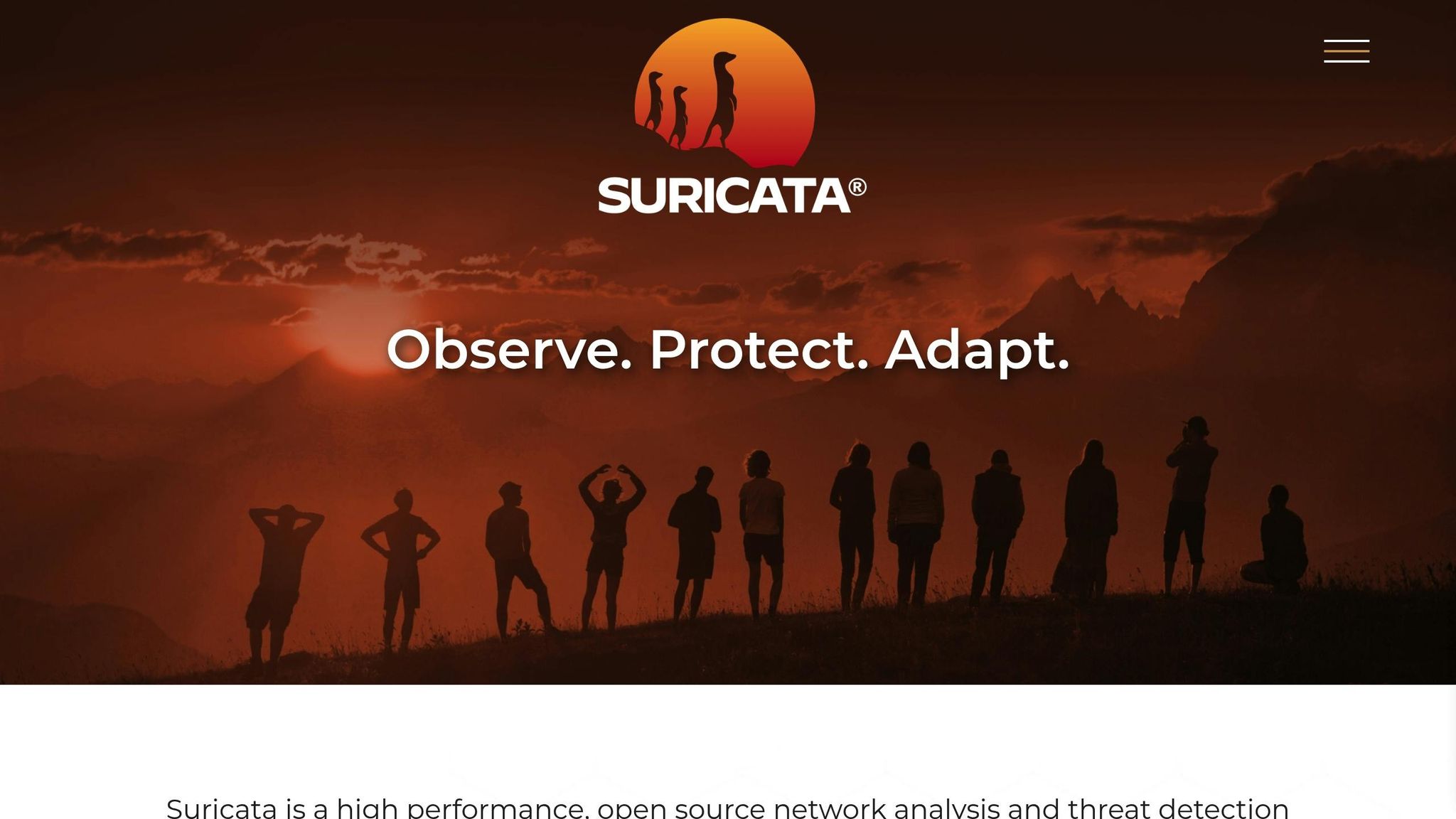 Suricata