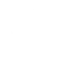 NAID Logo