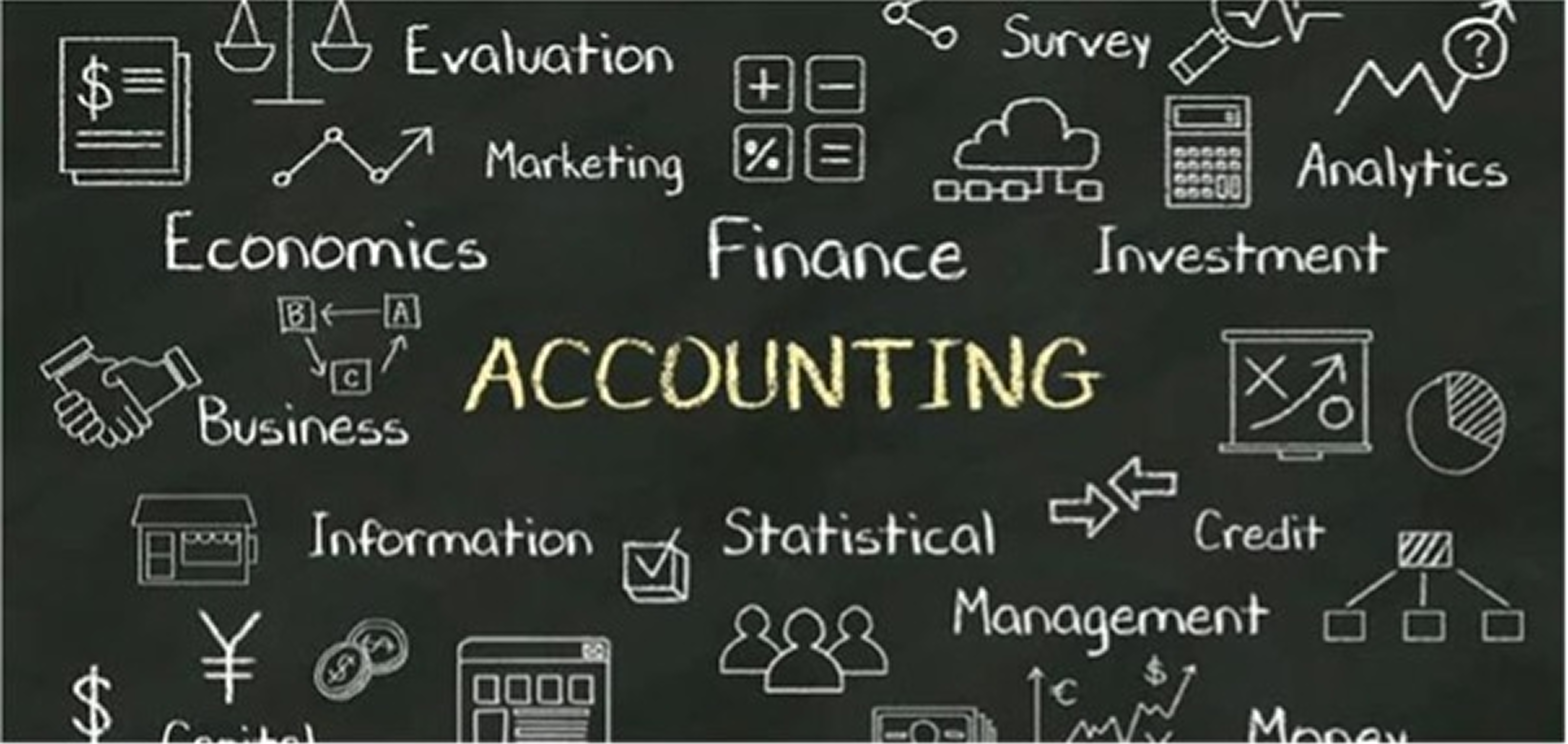 My Journey as an Accountant: More Than Just Numbers