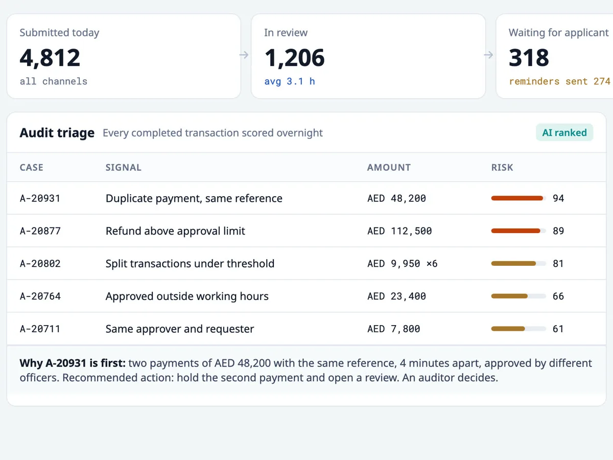 AI-ranked audit cases, sample data