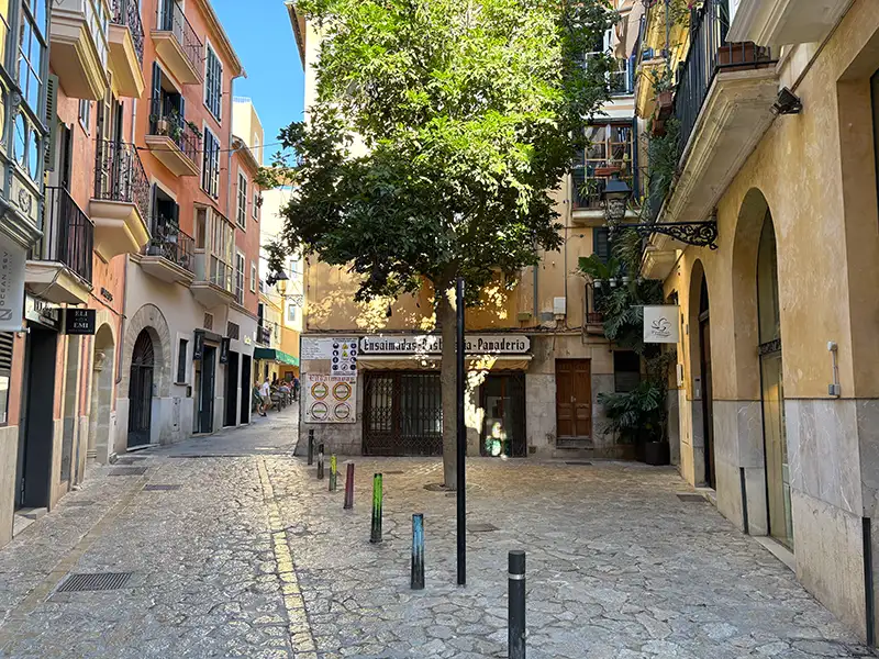Guided tour through the old town