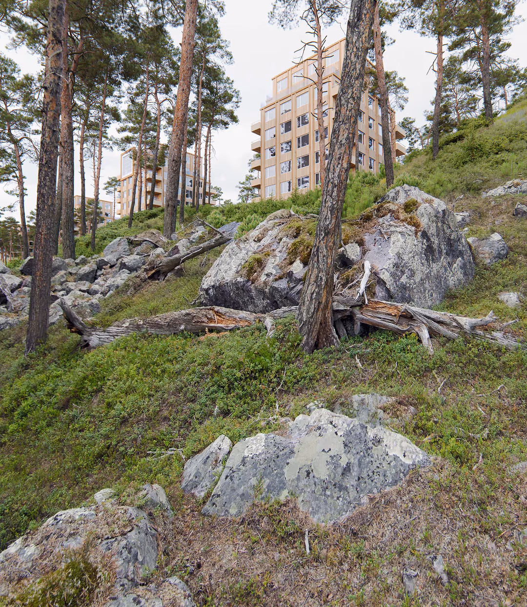 3D architectural visualization by HISM of a nature-integrated residential development in Sweden, titled "Gem in the Woods" — designed for developers and architects focused on modern living immersed in natural landscapes.