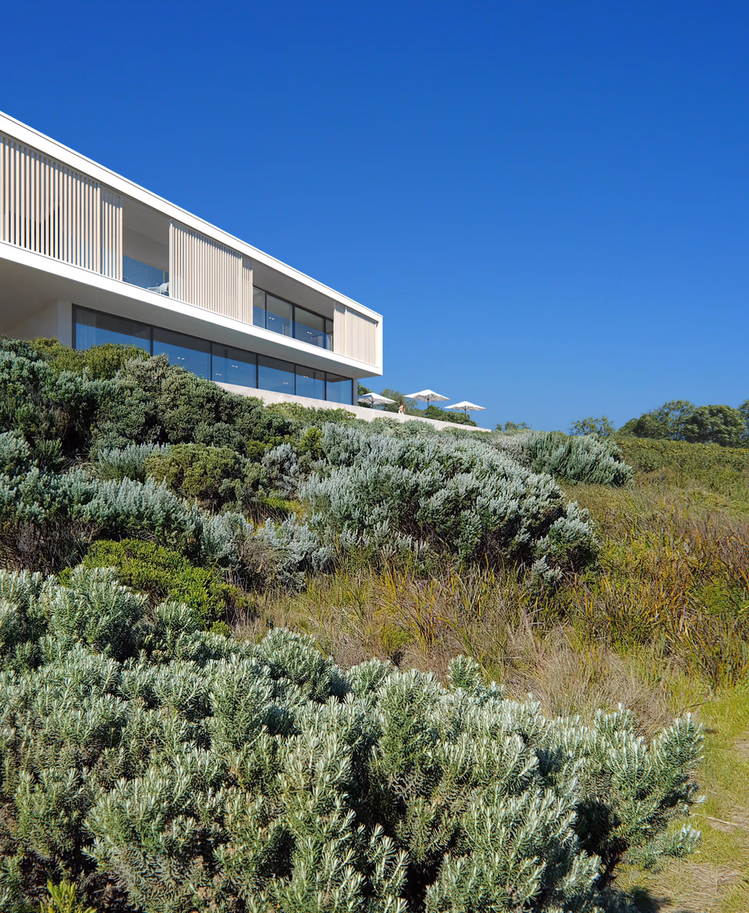 High-end architectural visualization of a minimalist coastal villa with panoramic glass façade, clean lines, and natural landscape integration, created by HISM studio.