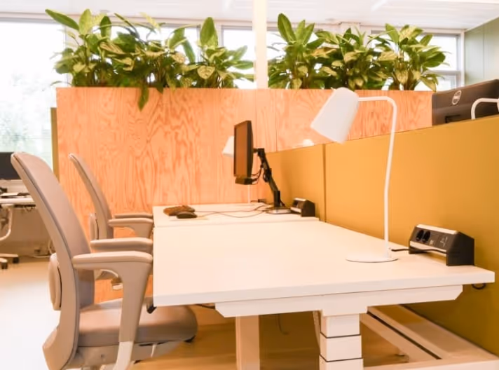 pleasant homely atmosphere