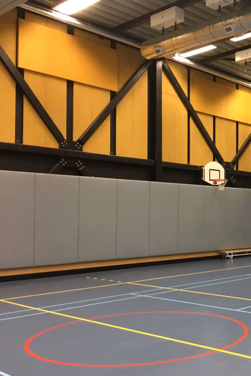 performance and safety of athletes