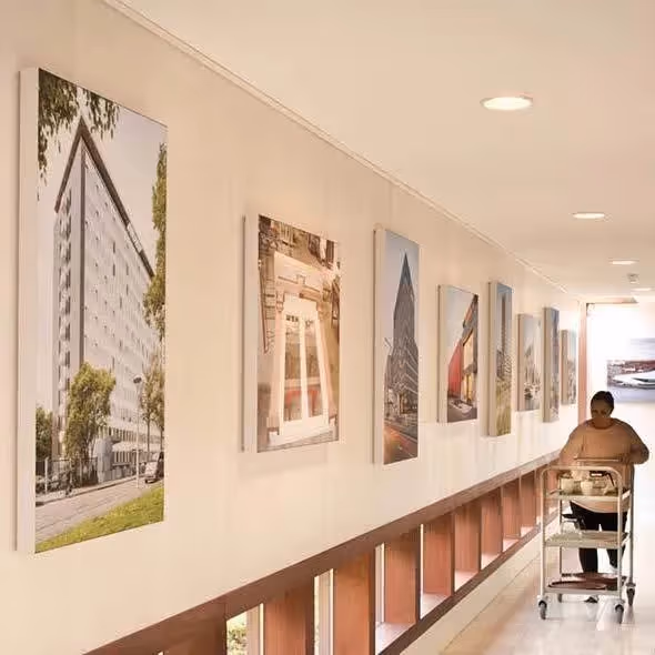 Noise-reducing wall panels for offices.
