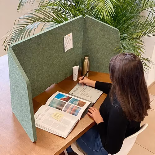 Acoustic privacy screen