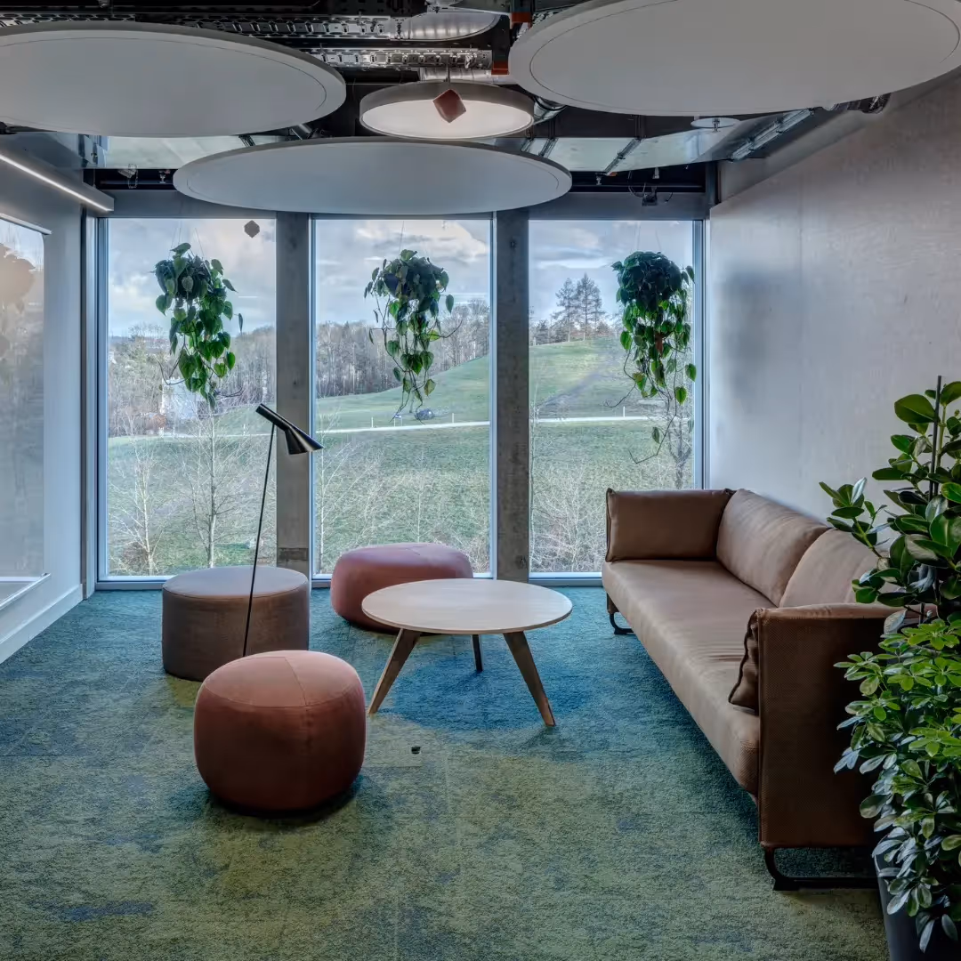 Decorative acoustic ceiling