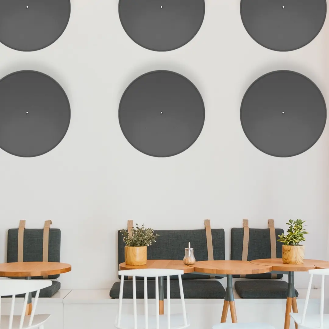 Modern acoustic decor