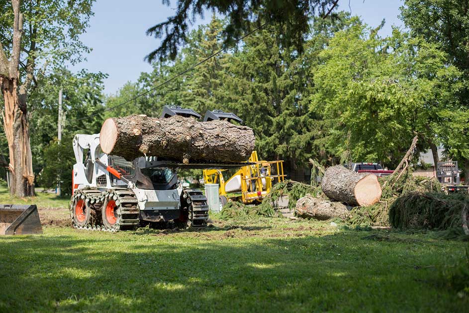 Skid steer loader using a forestry grapple attachment to lift and move large tree trunks during a logging and land clearing project