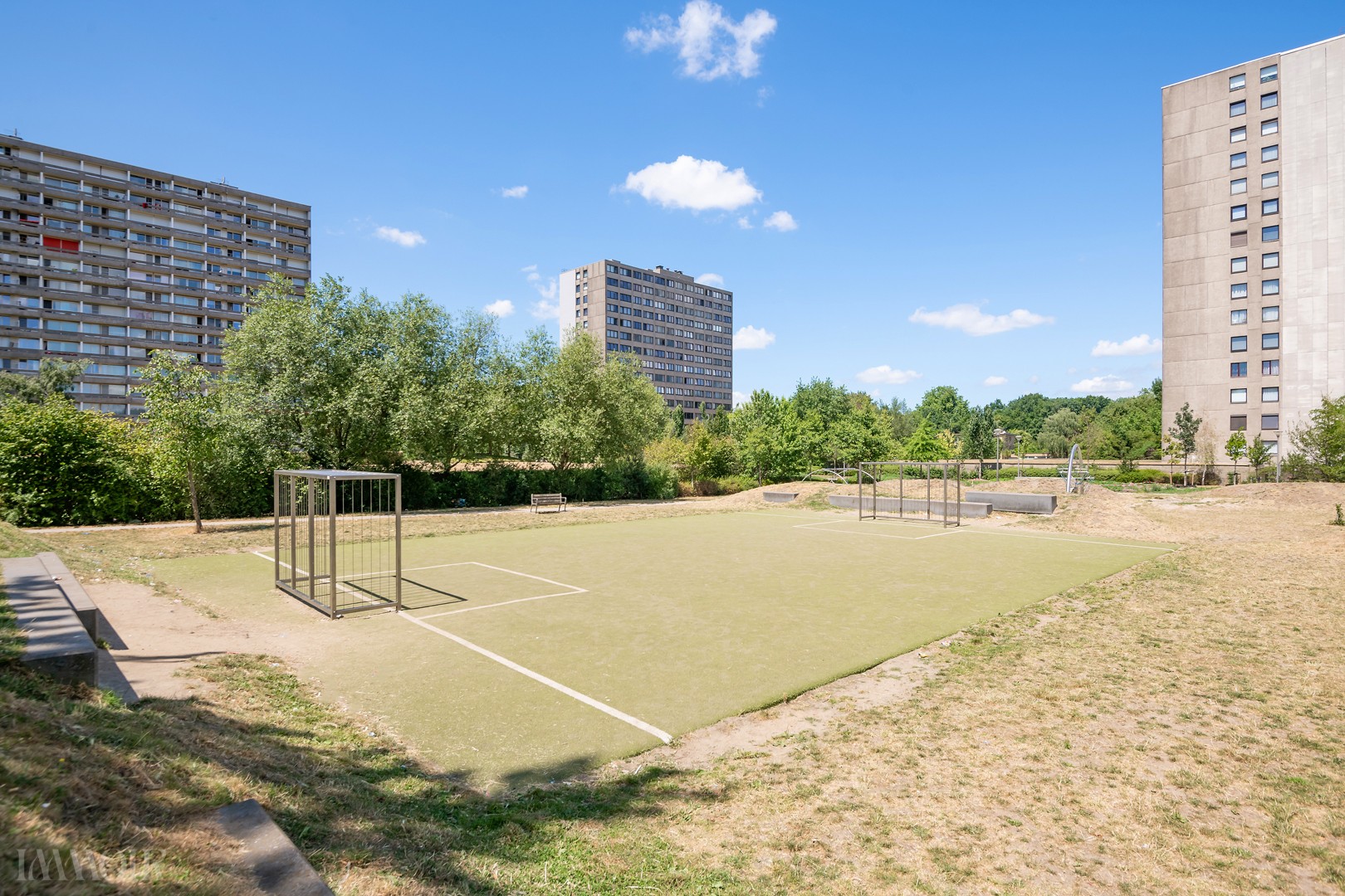 250703_Bosuil27-23.JPG