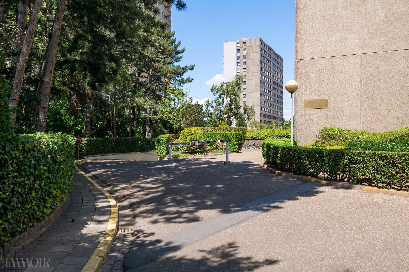 250703_Bosuil27-20.JPG