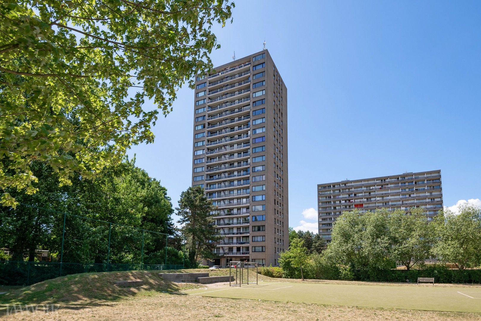250703_Bosuil27-22.JPG
