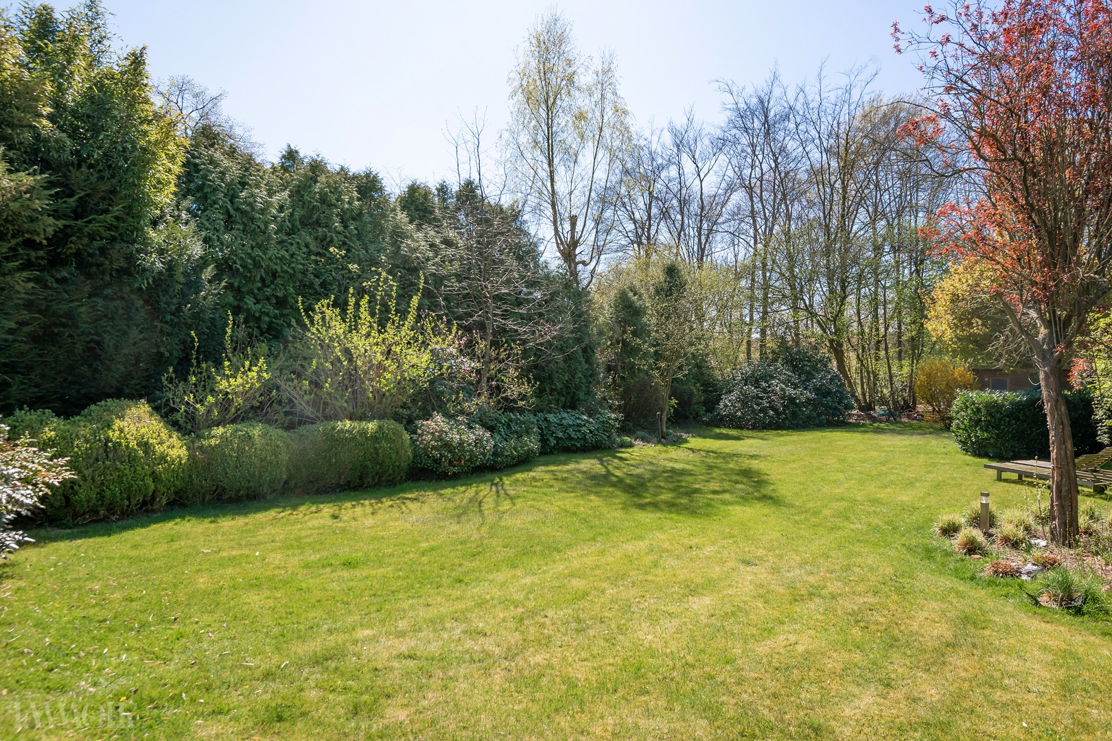 250412_Dullingen56-31.JPG
