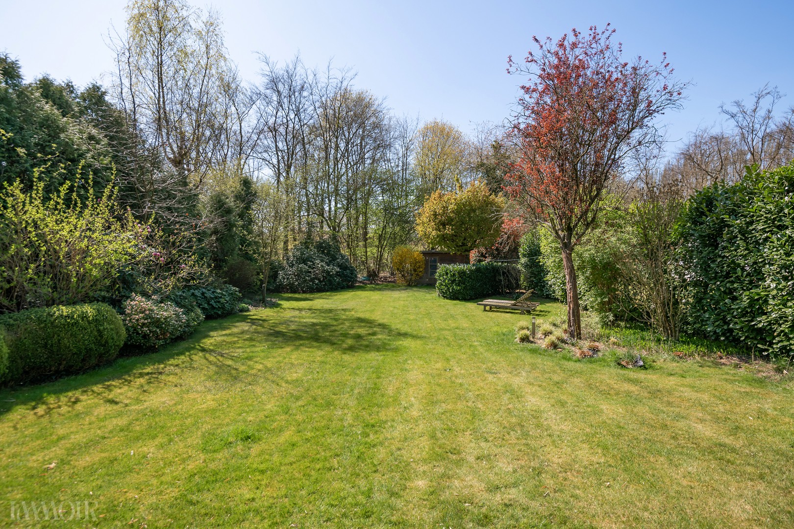 250412_Dullingen56-32.JPG