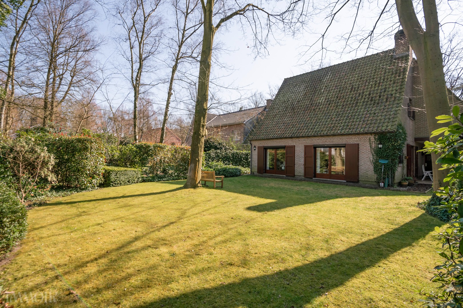 250320_Mariettalei50-41.JPG