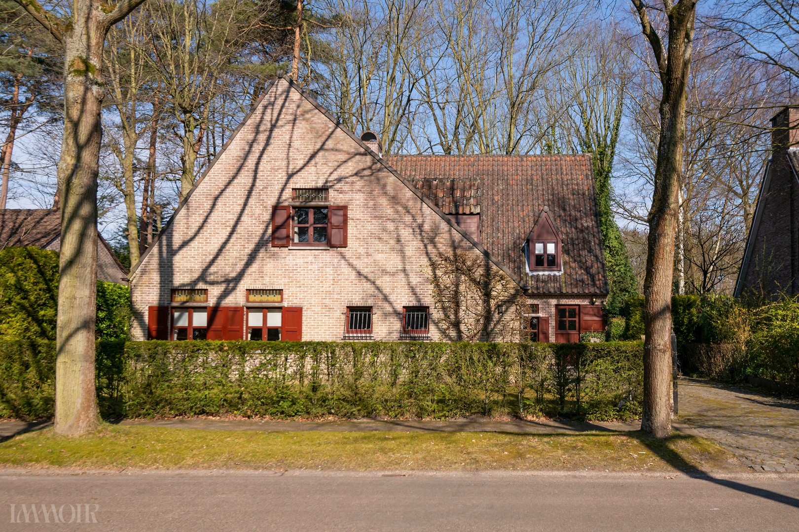 250320_Mariettalei50-32.JPG