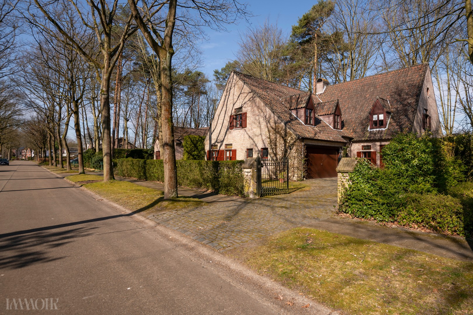 250320_Mariettalei50-30.JPG
