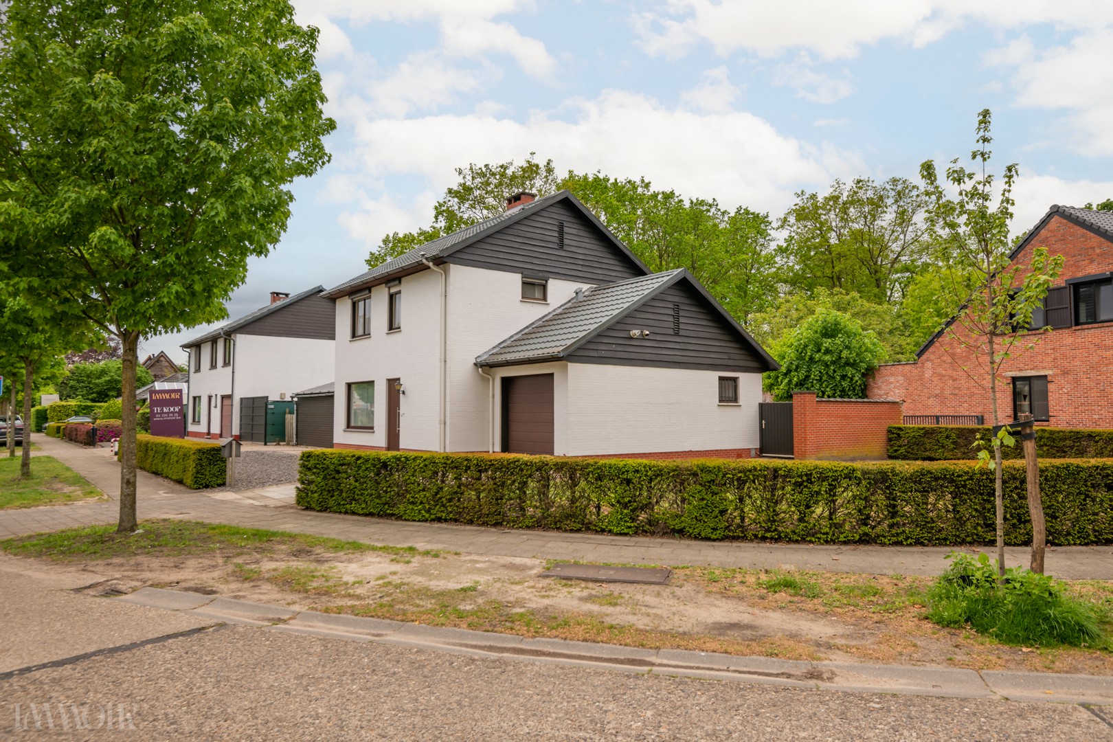 260507_Heideaard149-3.JPG