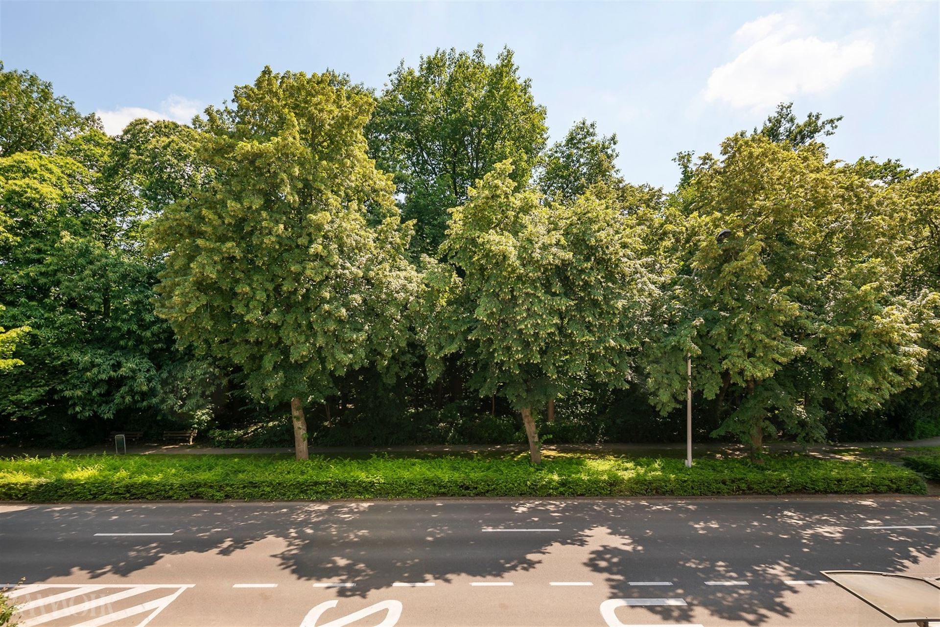 Bouwgrond voor eengezinswoning te koop in Schoten.