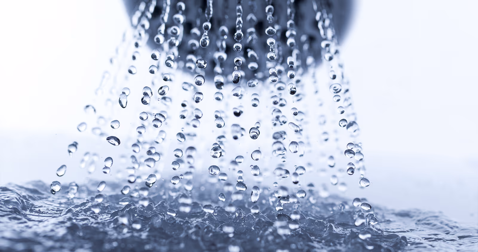 Plumbing shower head