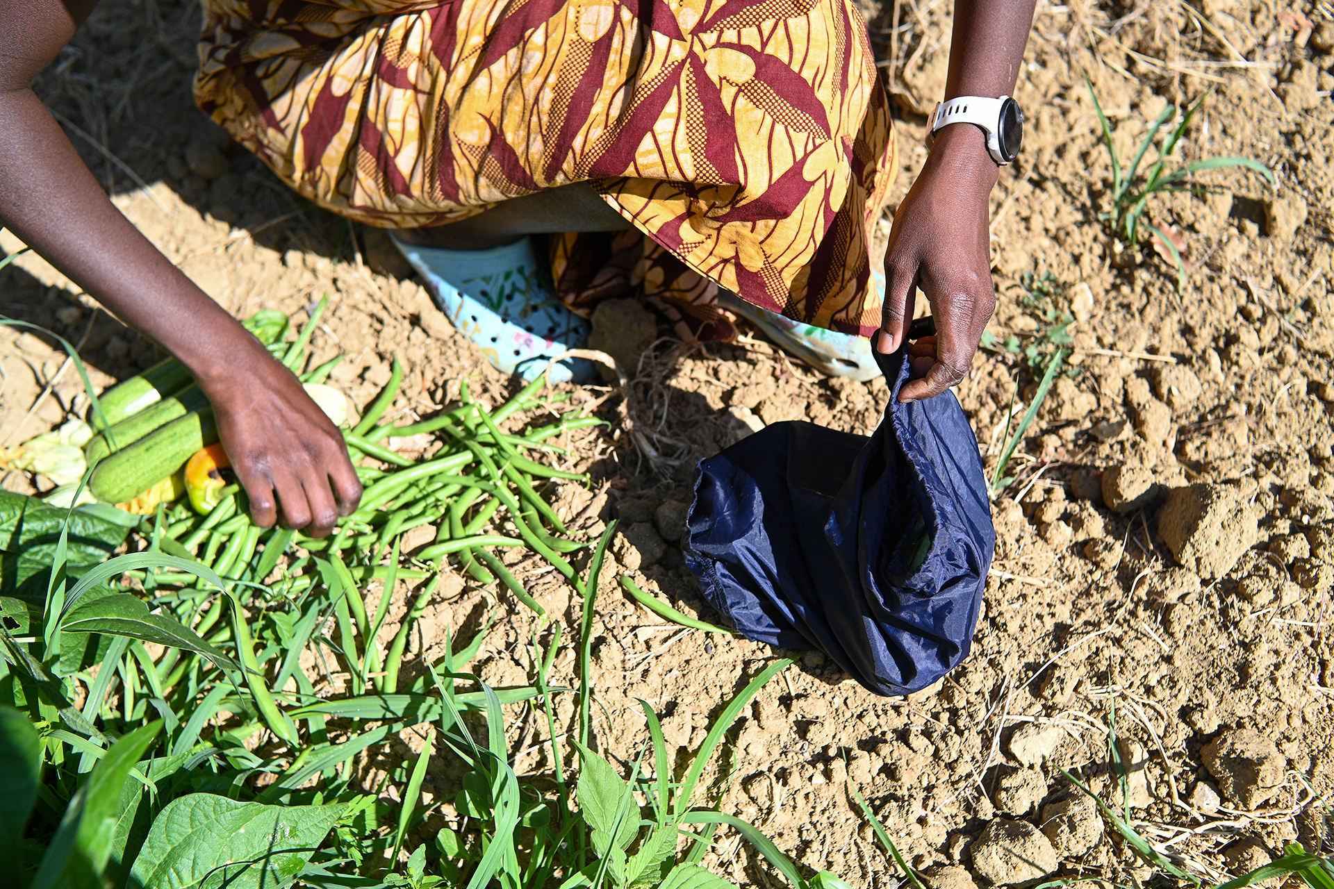 From Student to Community Agronomist: Eunice’s Story