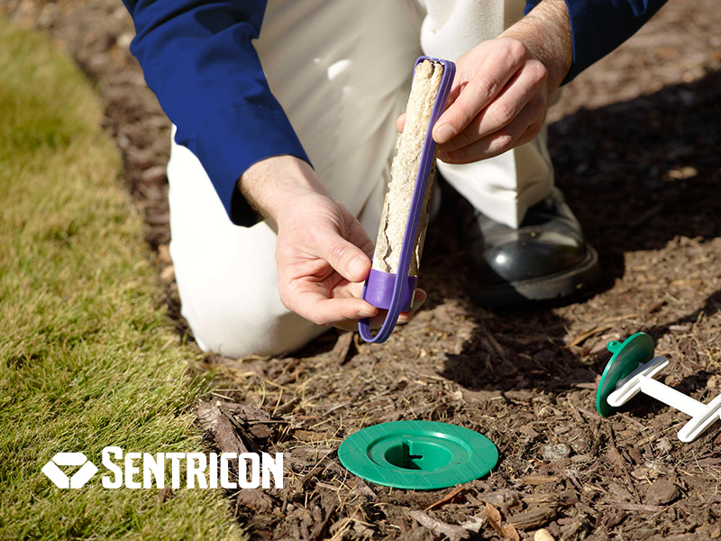 termite control technician inspecting a termite station