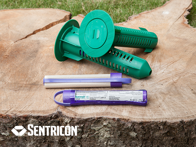 sentricon termite colony elimination system