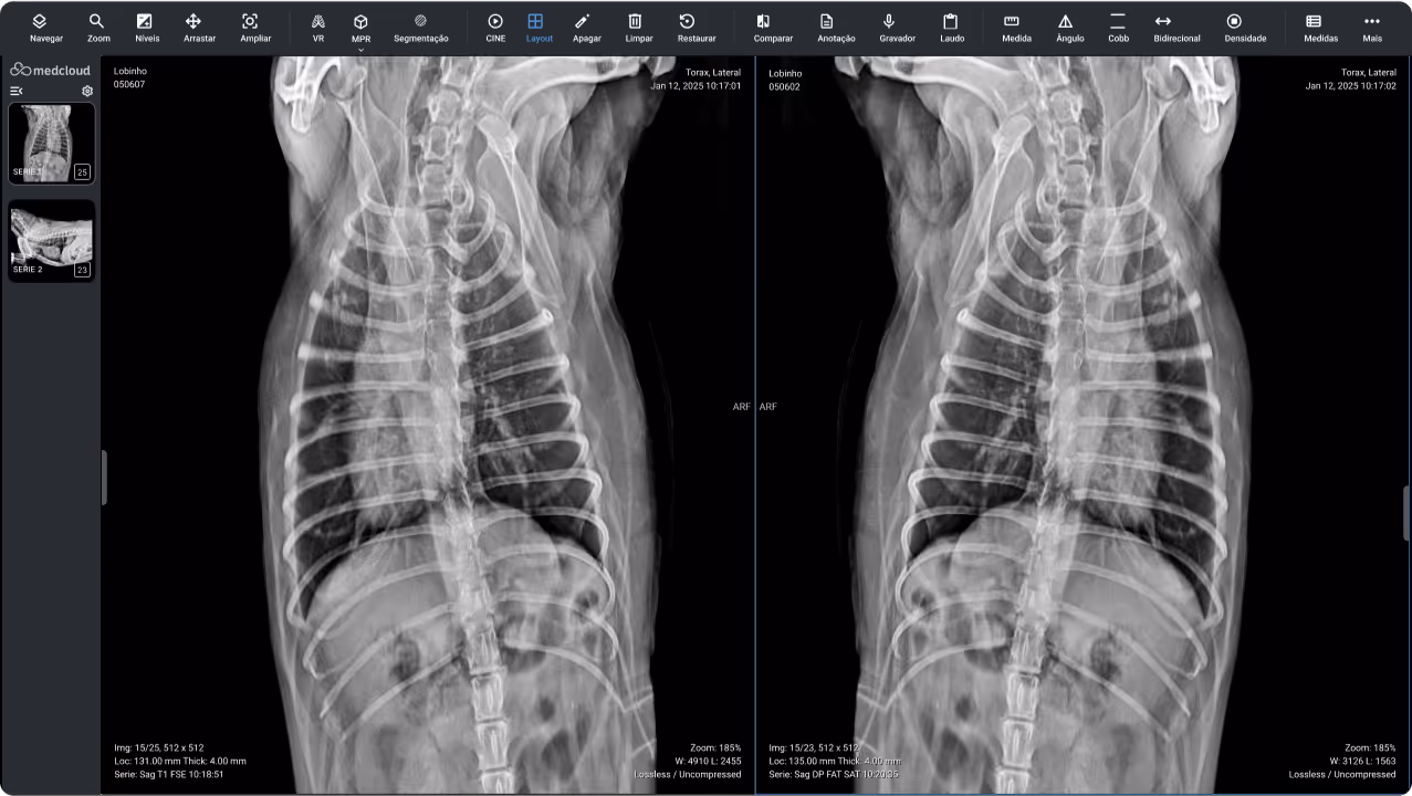 Radiografias laterais torácicas de um cachorro mostrando as costelas, coluna vertebral e pulmões em uma comparação lado a lado.