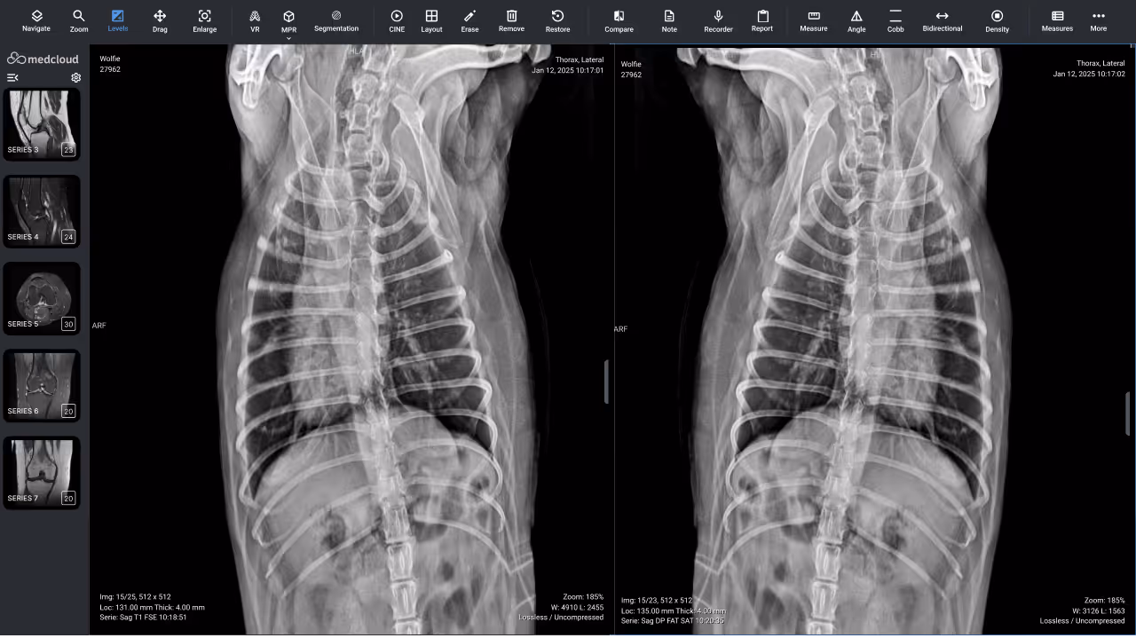 Side chest veterinary X-ray showing the spine and ribs of an animal in two images side by side.